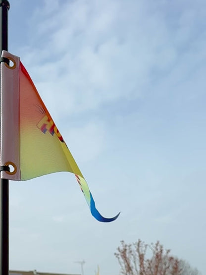 "Humanity" Rainbow Pennant Flag - Primary Concerns Collection